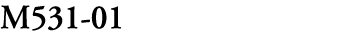M531 01