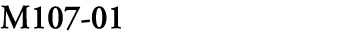 M107 01