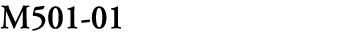 M501 01